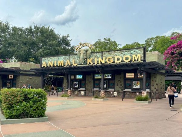 animal kingdom