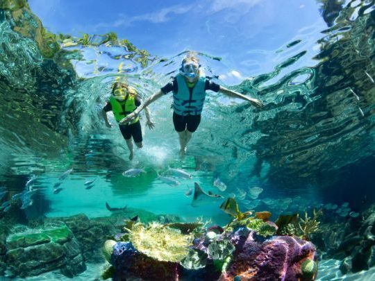 discovery cove