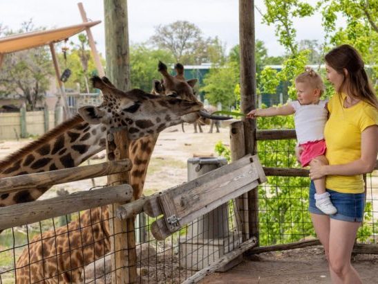 tampa zoo